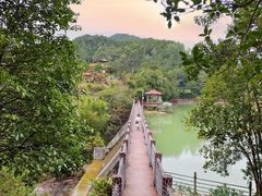 -广州白江湖森林公园