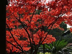 -杭州半山国家森林公园