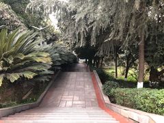 -重庆平顶山公园