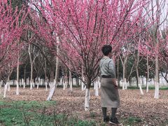 -南湖湿地公园