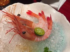 -九州酒场ひこぞう(1号店)