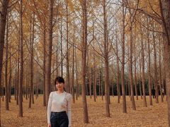 -汉景帝阳陵博物院