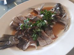 -无招牌海鲜餐厅(滨海艺术中心店)