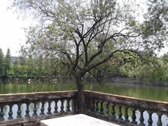 android_upload_pic-东莞市可园博物馆