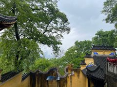 -涂山寺素食餐厅