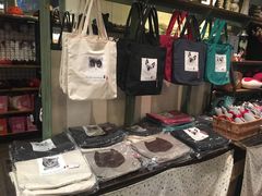 -猫咪博物馆(顶澳仔猫街店)