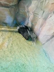 -酷嗒动物文化乐园(cutezoo西溪乐天城店)