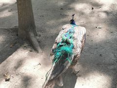 -昆山城市生态森林公园