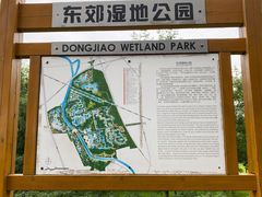 -东郊湿地公园