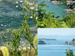 -悦海公园