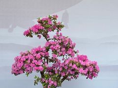 -上海方塔园