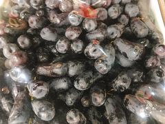 手指葡萄-菜园坝水果市场