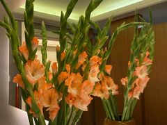-良木缘咖啡西餐(蜀汉路店)