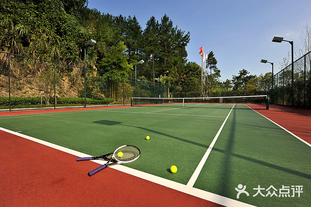 网球场-若惜依依的图片-大众点评网