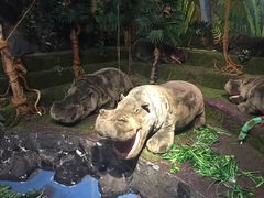 -济州岛泰迪熊博物馆