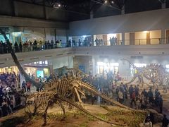 -自贡恐龙博物馆