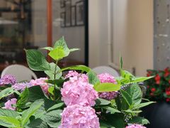 -Peet's Coffee皮爷咖啡(大学路店)