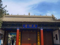 -张掖大佛寺景区