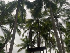 -三亚海棠湾南田温泉神龙谷