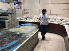 水产区-双井轩(双井店)