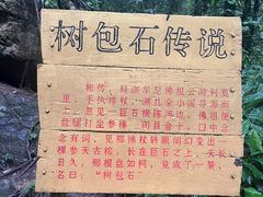 -莫里热带雨林景区