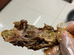 -老号尤兔头(幸福店)