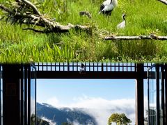 -普洱太阳河森林公园