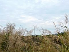 -长洲岛都市农业公园