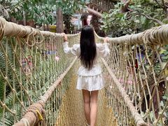 -正佳雨林生态植物园