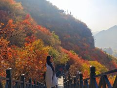 -狼牙山风景区