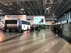 -米兰马尔彭萨国际机场