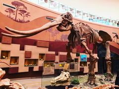 -陕西自然博物馆