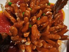 松鼠桂鱼-大铁勺新津菜(熙悦汇店)