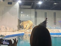-大连圣亚海洋世界
