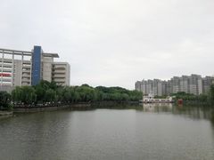 -武汉交通职业学院