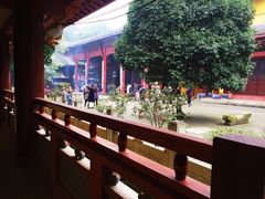 -涂山寺素食餐厅
