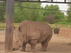 -鄂尔多斯野生动物园