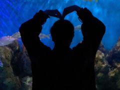 -石林冰雪海洋世界