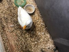 -狗道宠物(常熟印象城店)