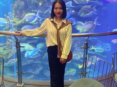 -泉城欧乐堡海洋极地世界