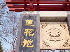 -莲花池公园