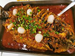 -鱼酷活鱼烤鱼(沈阳大悦城店)