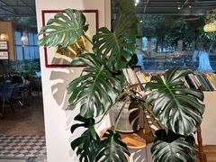 -echoes coffee回响咖啡(888街店)