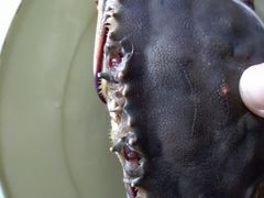 -盒马鲜生(馥邦国际店)