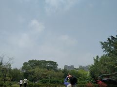 -南沙蒲洲花园