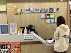-瑞鹏宠物医院犬猫全科(真大分院)
