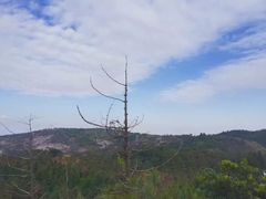 -大罗山风景区