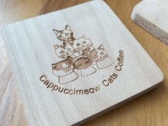 -Cappucimeow猫咪咖啡馆(韦伯时代店)