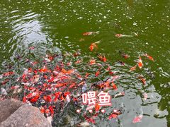 -淄博聊斋城景区