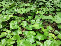 -汇龙潭